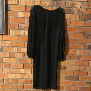 Zara Elegant Black Sheer Long Sleeve Dress